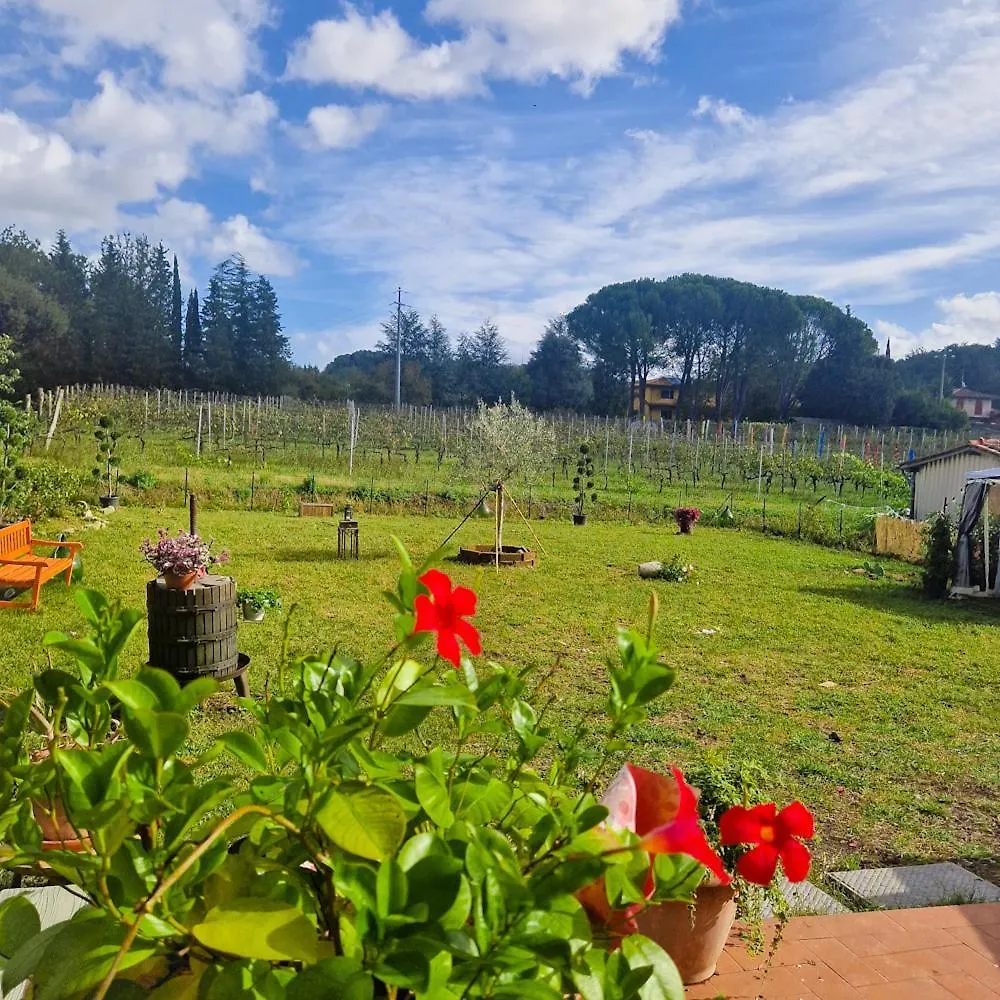 Appartement La Casa Nella Vigna Colline Del Vino à Capannori